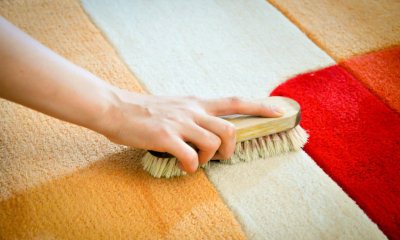 Разновидности щеток для чистки ковров, их характеристики, достоинства и недостатки