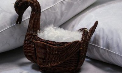 Деликатное обращение, или можно ли стирать подушки из лебяжьего пуха в стиральной машине и руками