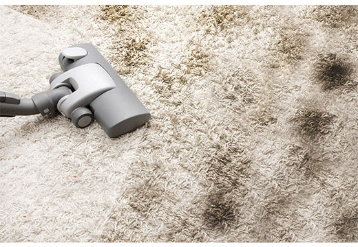 Способы стирки паласа в домашних условиях: сухая и влажная чистка, различные методы